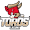 Club logo of Toros Laguna