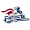 Club logo of Somerset Patriots