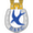 logo of Dungannon Swifts FC