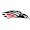 logo of Southern Oregon Raiders