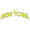 logo of Team New York
