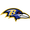 Club logo of Baltimore Ravens