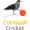 Club logo of Cornwall CCC
