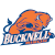 logo of Bucknell Bison