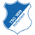 logo of TSG 1899 Hoffenheim U17