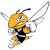 logo of American International Yellow Jackets