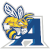 logo of Allen Yellow Jackets