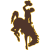 logo of Wyoming Cowboys
