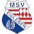 logo of MSV Eisleben