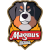 logo of Magnus Futsal
