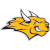 logo of Webster Gorloks