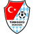 logo of Türkgücü München