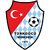 logo of Türkgücü München