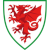 logo of Wales U17