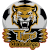 logo of Tigres de Chinandega