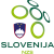 logo of Slovenia U17