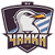 logo of FK Chayka