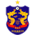logo of Shenzhen FC